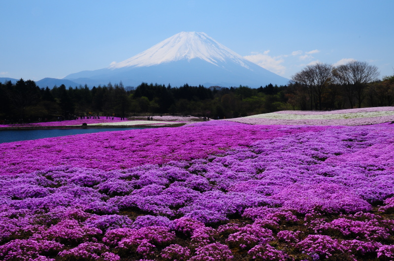富士山周辺風景