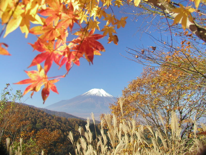 富士山画像記録