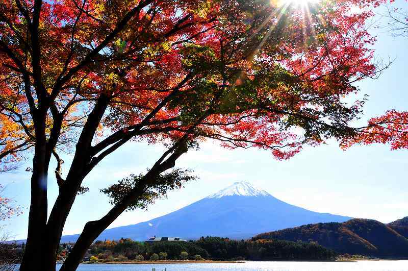 富士山画像作品
