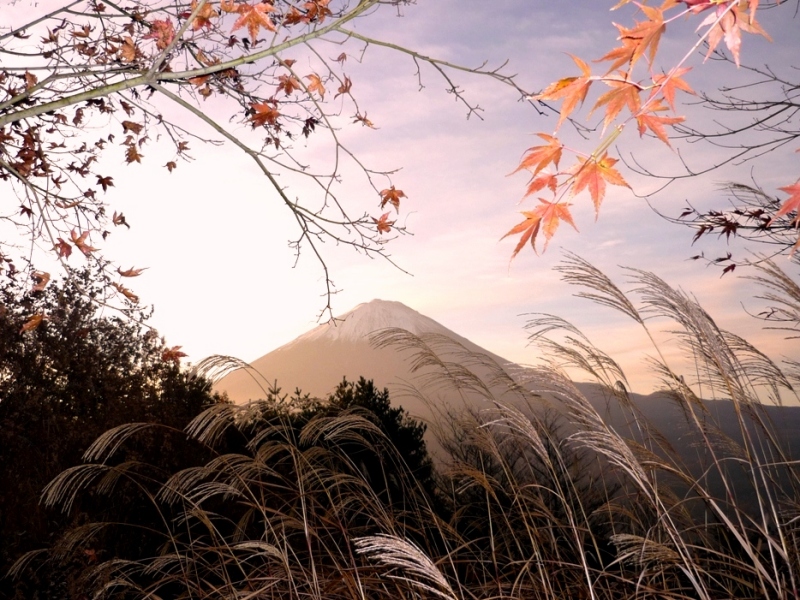 富士山画像記録