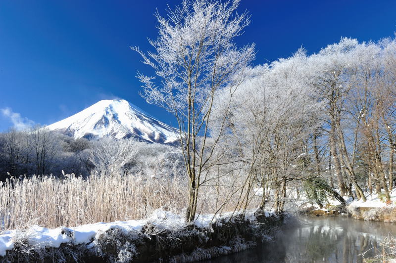 富士山周辺風景
