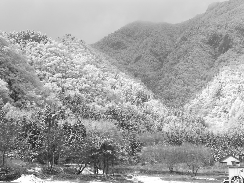 富士山周辺風景