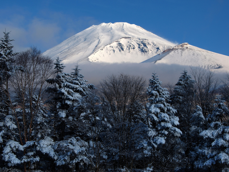 富士山画像作品