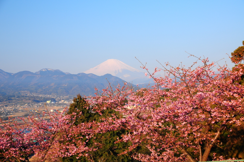 富士山画像記録