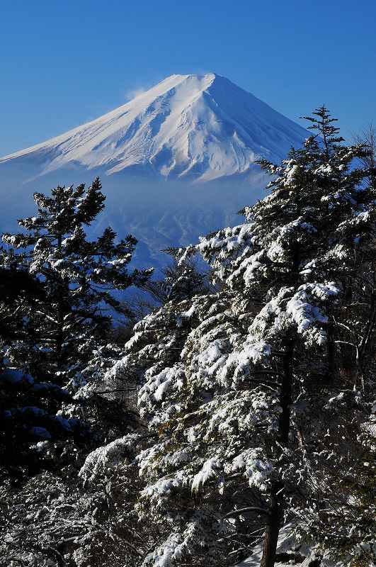 富士山画像作品