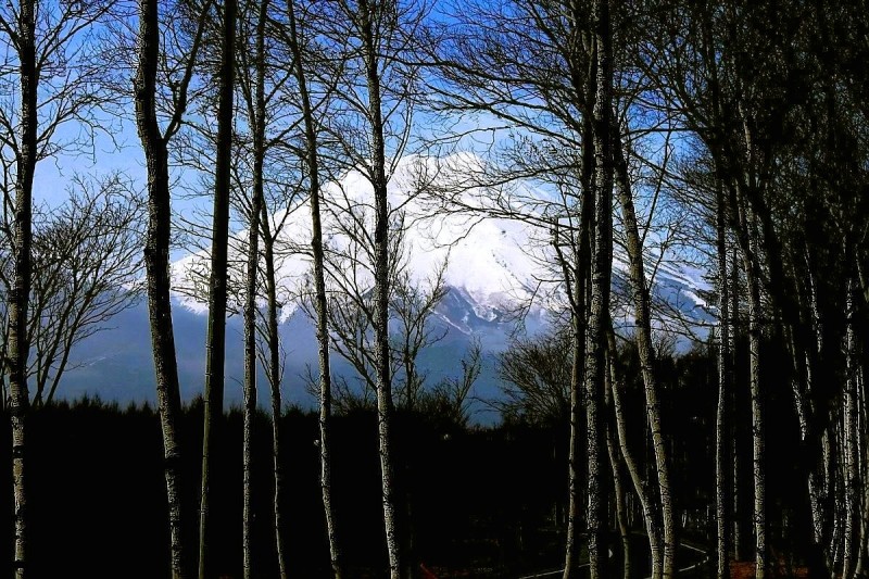 富士山画像記録