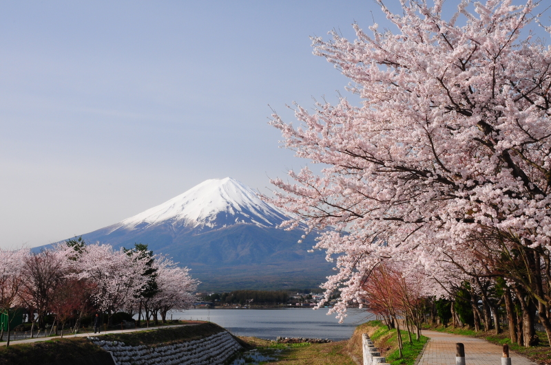 富士山画像記録