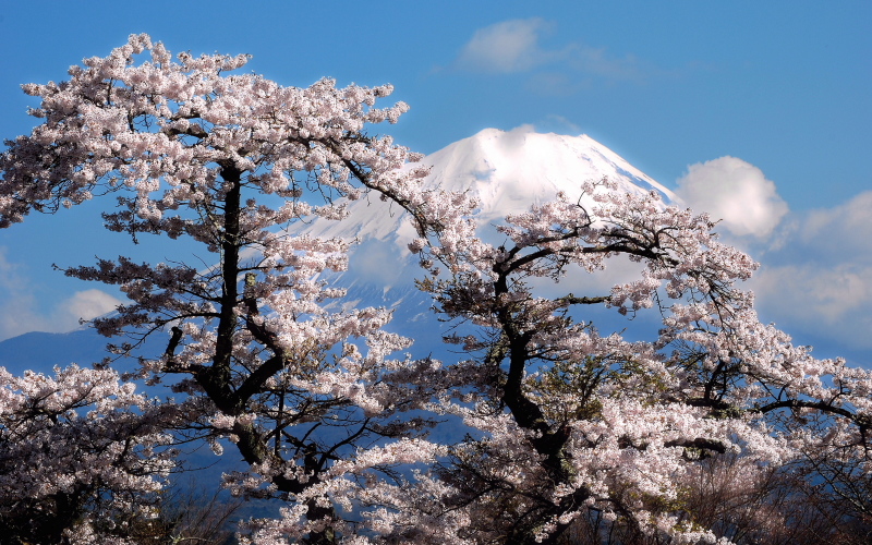 富士山画像記録