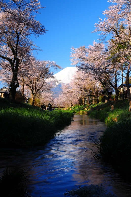 富士山画像記録