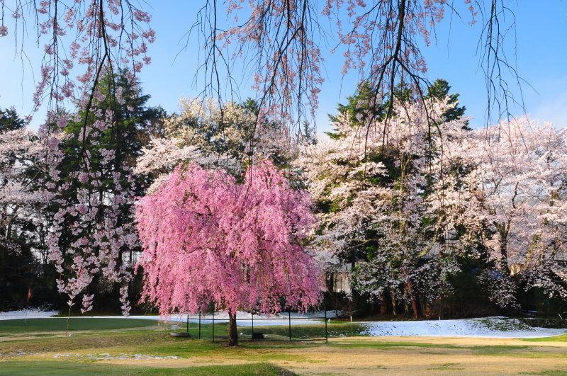 富士山画像記録