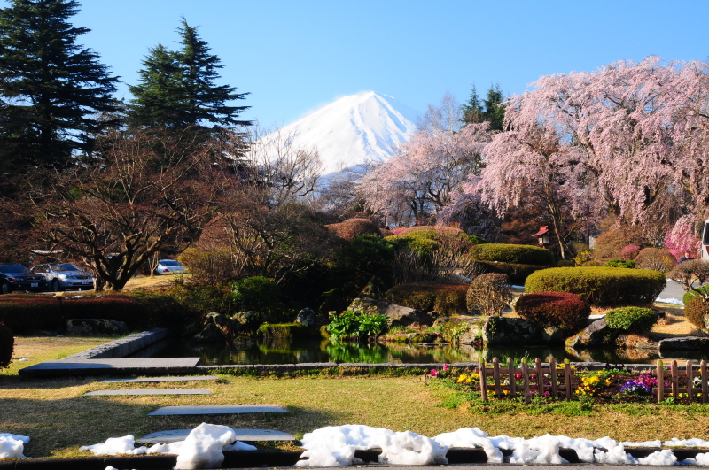 富士山画像記録