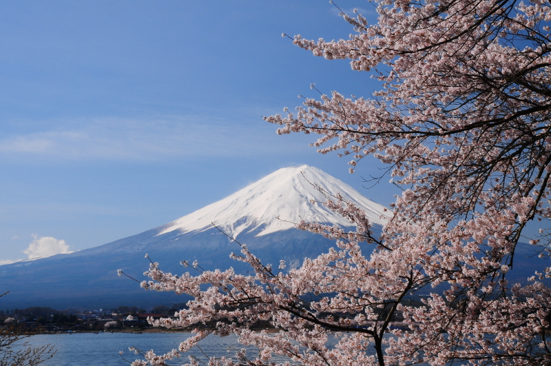 富士山画像記録