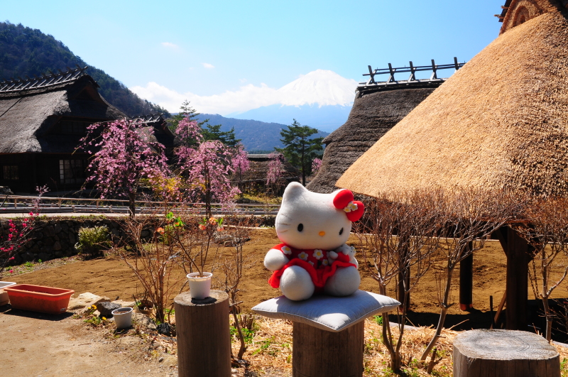 富士山画像記録