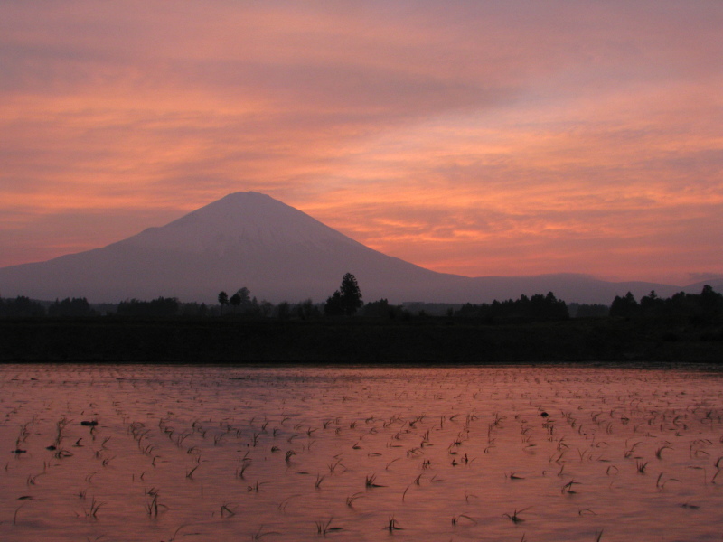 富士山画像記録