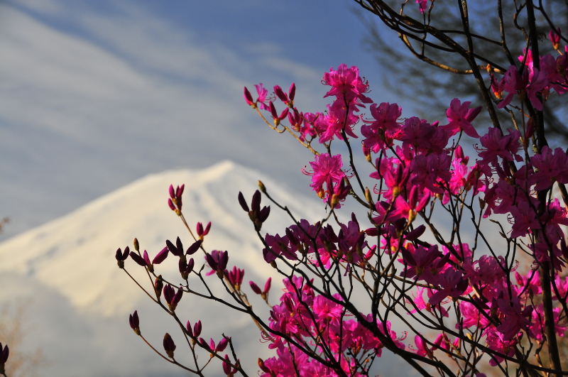 富士山画像記録