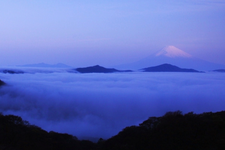 富士山画像記録