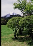 富士山画像作品