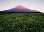 富士山画像作品