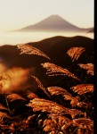 富士山画像作品