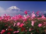 富士山画像作品
