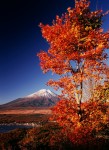 富士山画像作品
