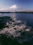 富士山画像作品