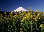 富士山画像作品