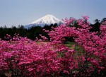 富士山画像作品