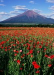 富士山画像作品