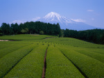 富士山画像作品