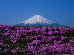 富士山画像作品