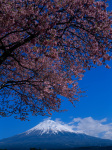富士山画像作品