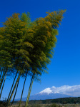 富士山画像作品