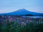 富士山画像作品