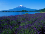 富士山画像作品