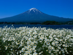富士山画像作品