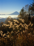 富士山画像作品