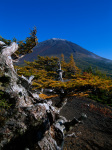 富士山画像作品