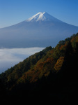 富士山画像作品