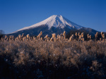 富士山画像作品