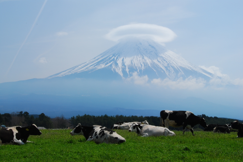 富士山画像作品