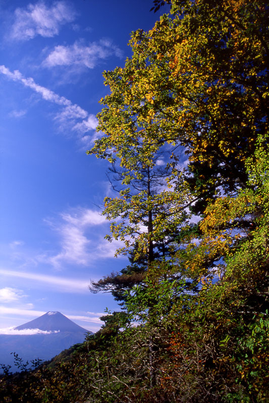 富士山画像作品