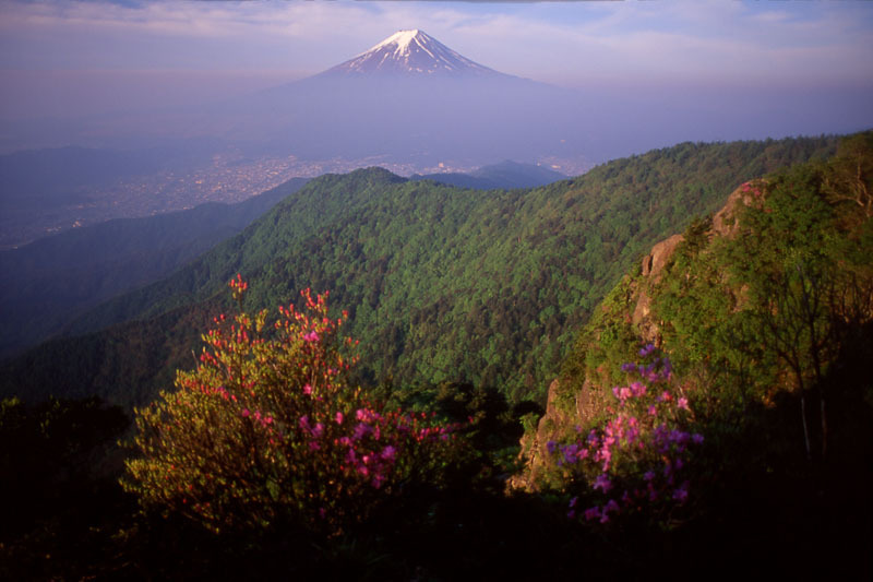 富士山画像作品