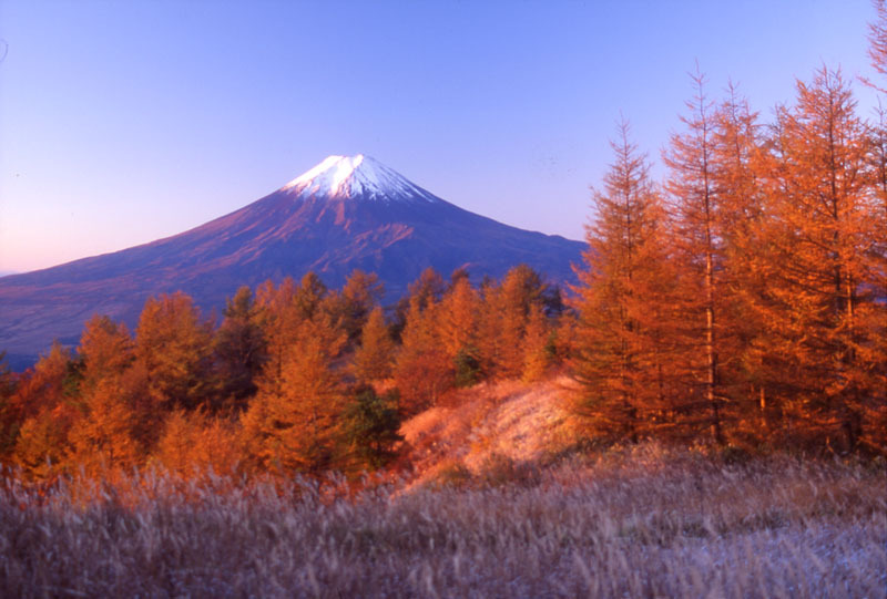 富士山画像作品