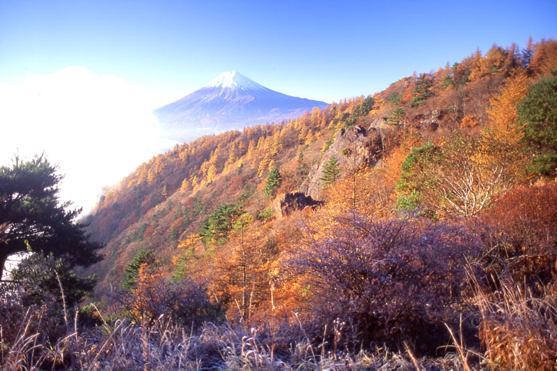 富士山画像作品