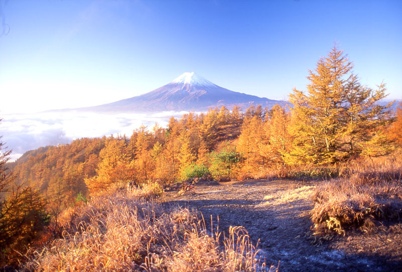 富士山画像作品