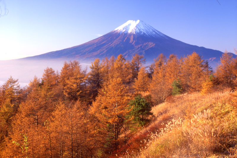 富士山画像作品