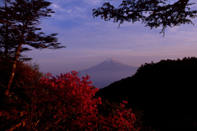 富士山画像作品