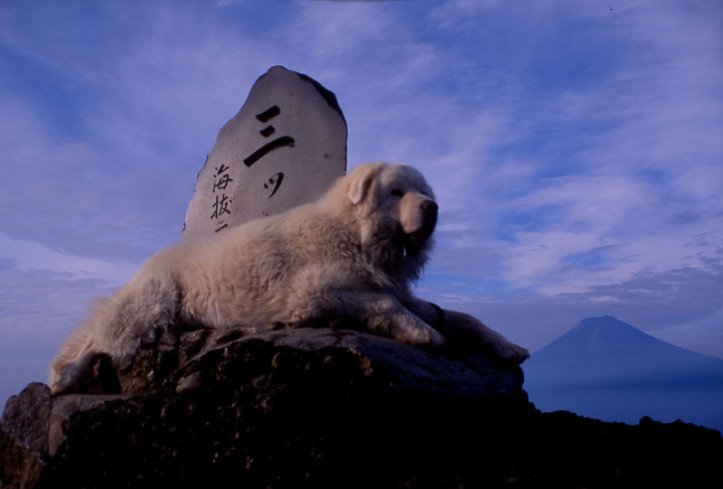 富士山画像作品