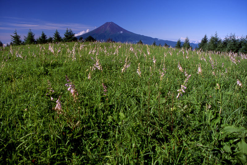 富士山画像作品